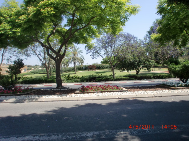  Center, Maccabim Hebrew 2